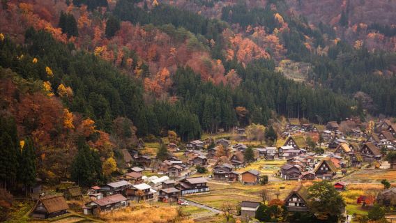 1-day tour to Takayama City and Shirakawa-go in Gifu Prefecture, Japan (Includes Hida Beef Lunch)