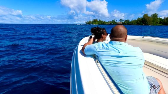 Hilo: Crucero de avistamiento de ballenas jorobadas con aperitivos y bebidas