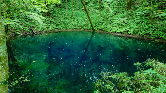 日本北海道札幌出發：青池+四季彩之丘+富田農場一日遊