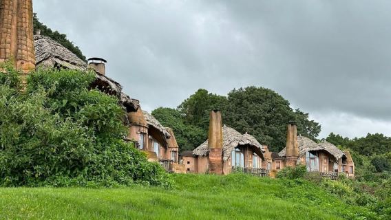 Afrique de l'Est : randonnées avec les gorilles, safaris et lune de miel…