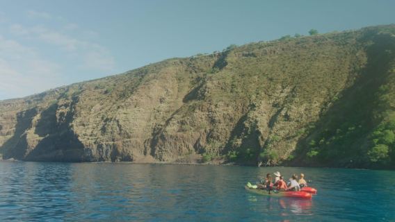 Kealakekua Bay: Guided Kayak & Snorkel Adventure
