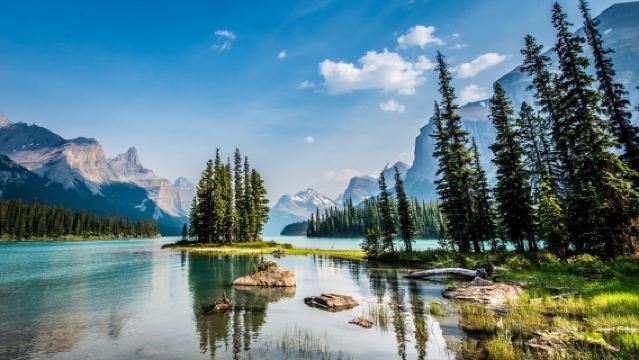 Jasper: Crucero por la vida silvestre del valle de Maligne y la isla Spirit