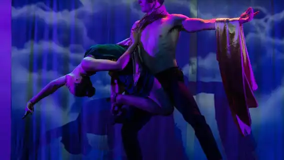 Sydney Harbour: Cabaret Cruise with 3-Course Dinner