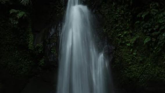 Ubud, Monkey forest, Riceterace Waterfall, Purification