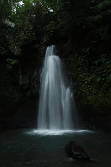 Ubud, Monkey forest, Riceterace Waterfall, Purification