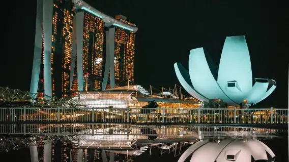 諮詢後下單/新加坡濱海灣花園植物園環球影城動物園克拉碼頭/機場/點對點用車/旅遊旅行司導/專車服務