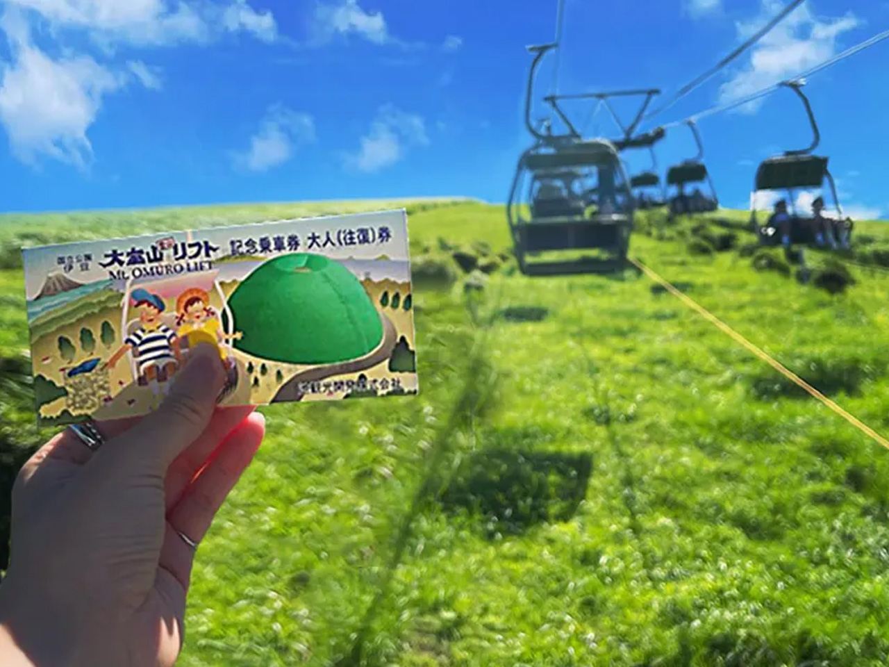 도쿄 이즈 당일 치기 여행(해안 전망 열차 티켓 포함)|조가사키 해안|호텔 픽업 서비스 제공|9인 그룹