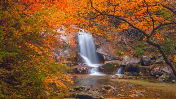 冰島-斯奈山半島-中文跟團一日遊【多/日遊全境定制】