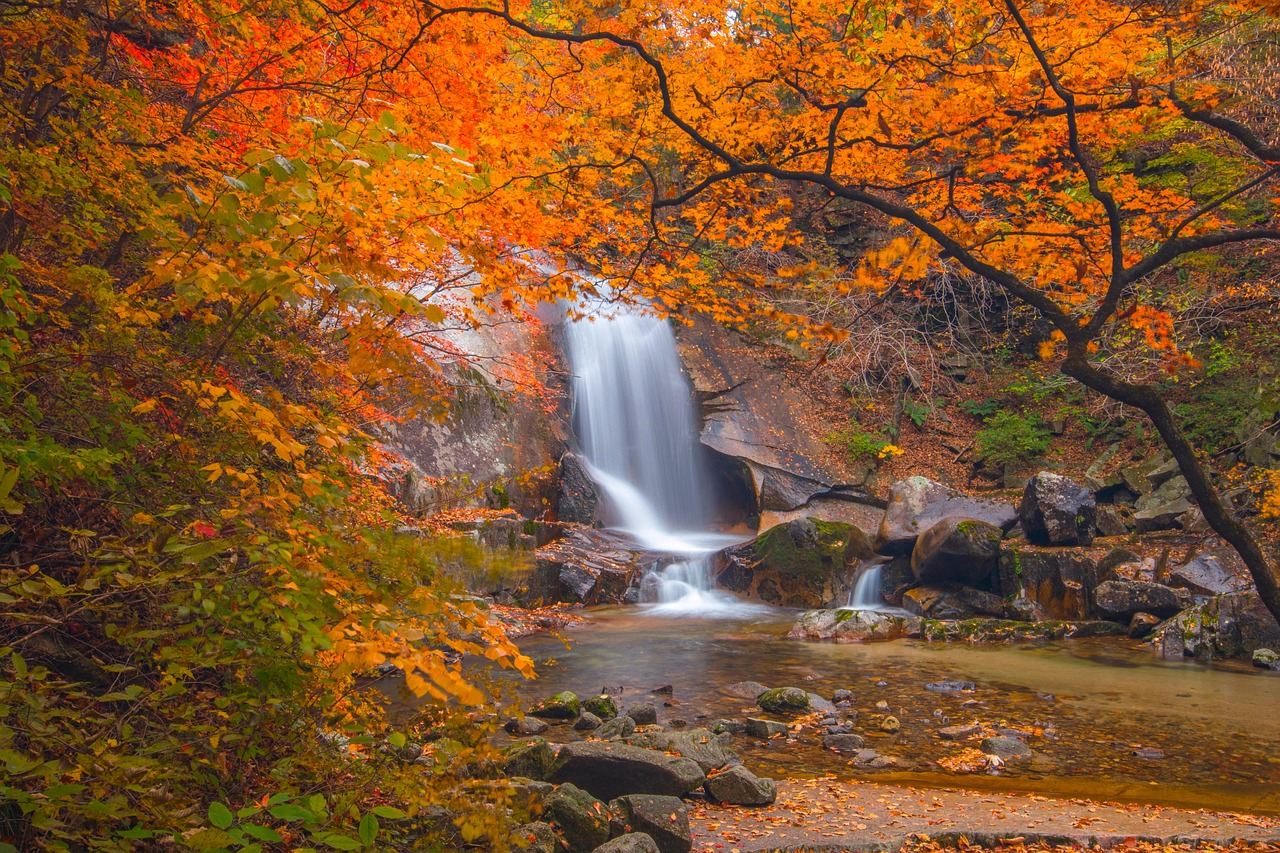 冰島-斯奈山半島-中文跟團一日遊【多/日遊全境定制】