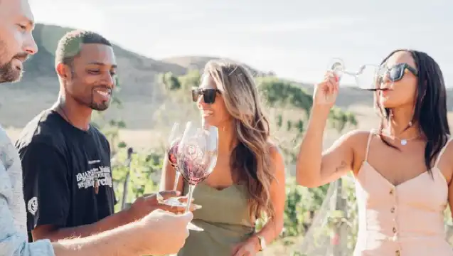 ทัวร์ไวน์เกาะ Waiheke พร้อมชิมไวน์และอาหารกลางวันเลิศรสริมชายหาด