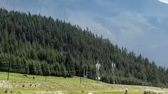 祁連峽谷+祁連草原+崗什卡雪峰一日遊（可付費送回西寧/蘭州）