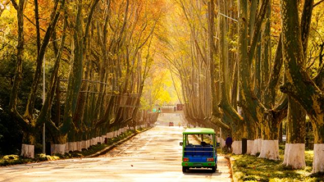 精選小團！總統府+音樂台+中山陵+美齡宮~讀懂南京六朝與民國