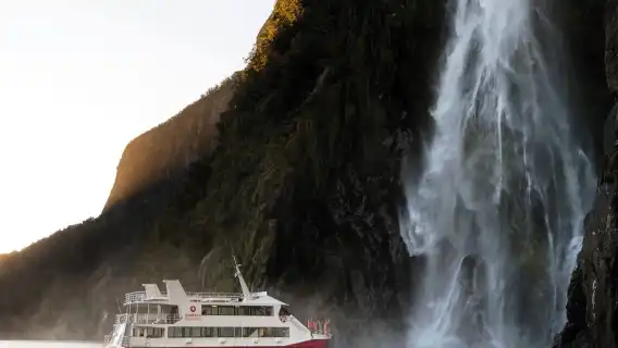 Milford Sound 1-day tour