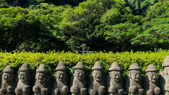 濟州島郵輪上島一日遊|郵輪專屬|西歸浦港出發|5-14人團