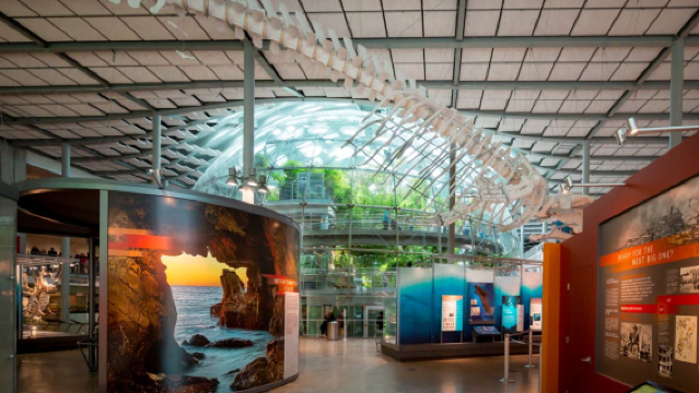 舊金山中文包車|貝克海灘+金門公園+嬉皮士區+加州科學院