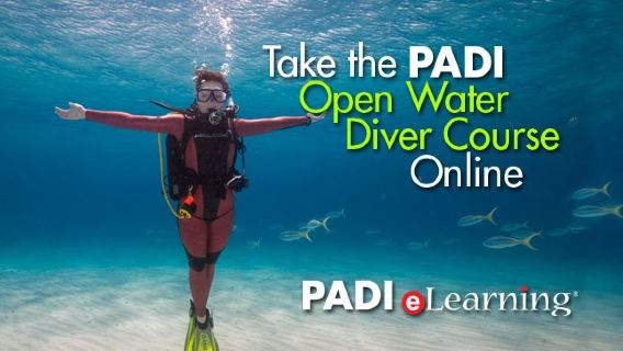 PADI Open Water Diver Course