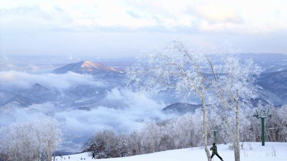 Private snowboard/ski instructor lessons with professional international certification at Sapporo Kokusai Ski Resort (available in Chinese/English)