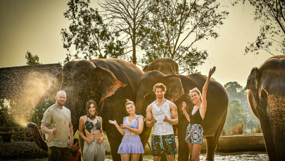 Vào Khu bảo tồn voi Pattaya + trải nghiệm cho voi ăn và tắm (1,5 giờ)