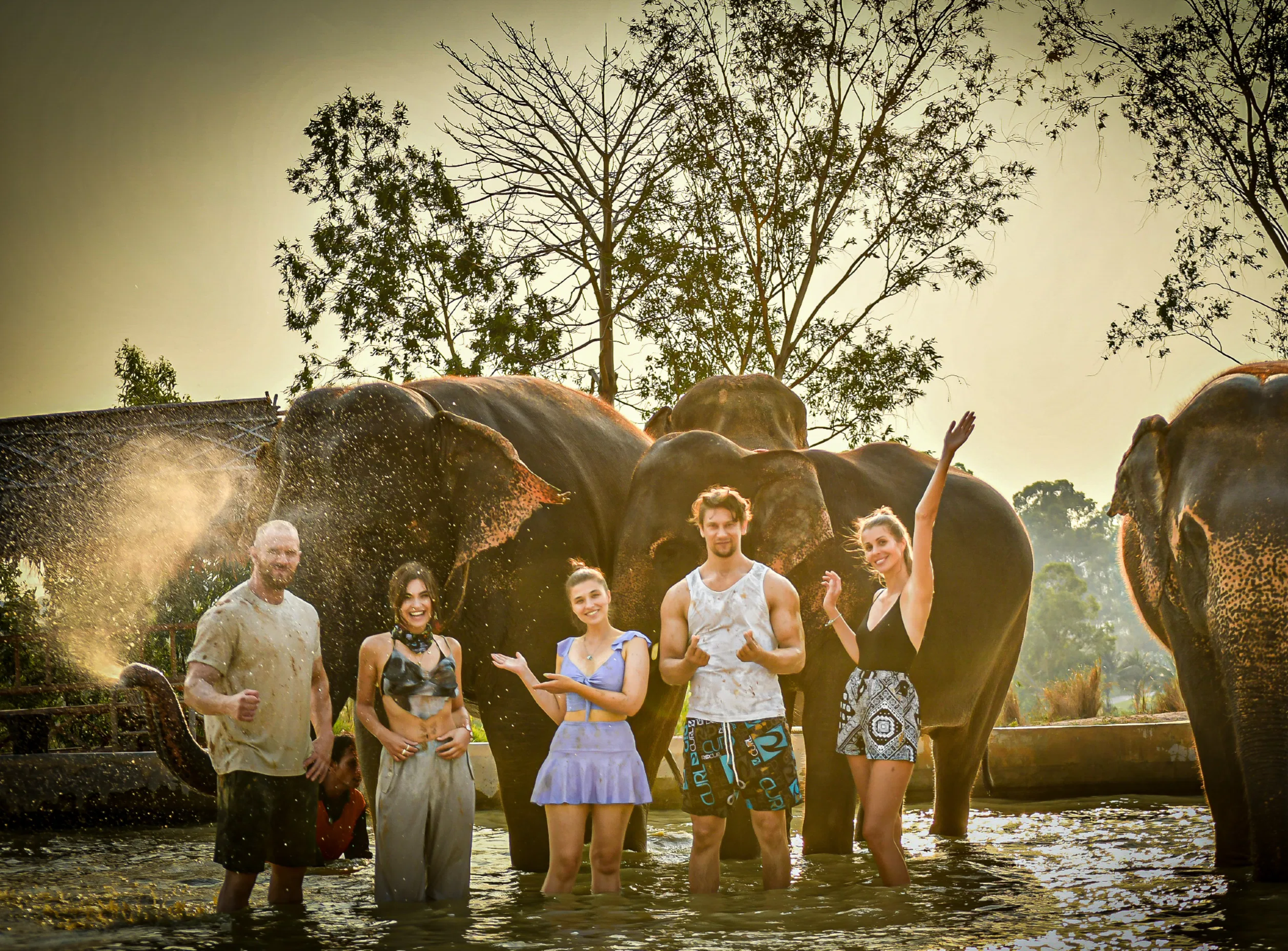 Elephant Jungle Sanctuary Pattaya - ประสบการณ์ให้อาหารและอาบน้ำช้าง (1.5 ชั่วโมง)