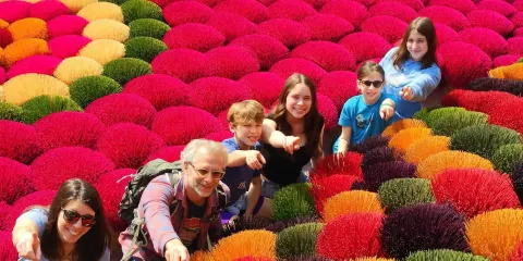 廣富求香村及寧平一日遊(河內出發)