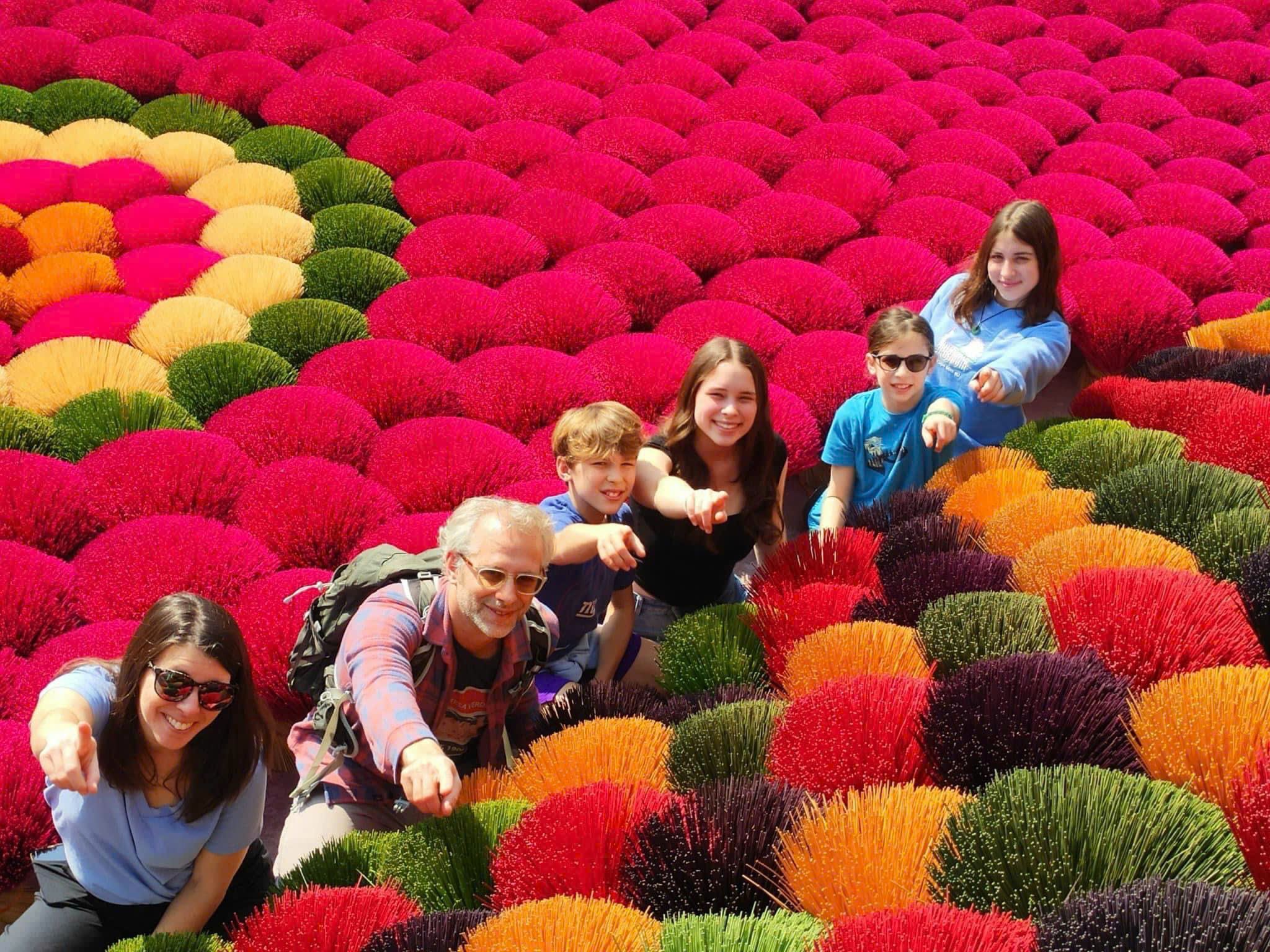 Quang Phu Cau Incense Village & Ninh Binh Full-Day Tour from Hanoi