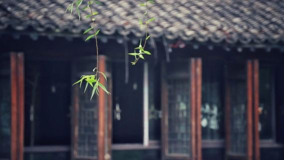 蘇州到烏鎮東柵日遊（含車+導遊+門票）純玩無負擔