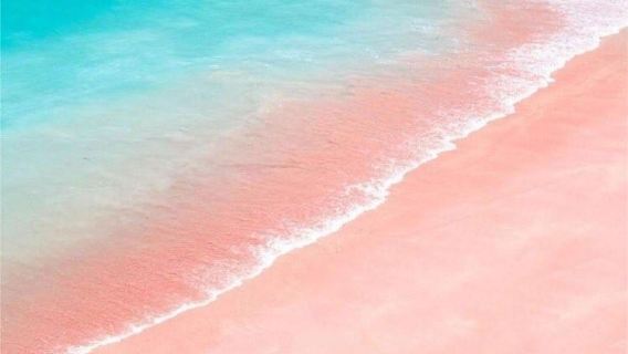Lombok Pink Beach Day Tour [Pura Batu Bolong + Pink Beach]