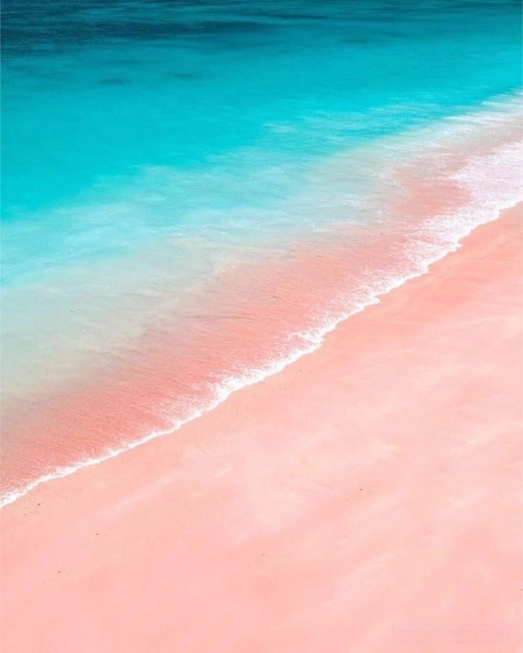 Lombok Pink Beach Day Tour [Pura Batu Bolong + Pink Beach]