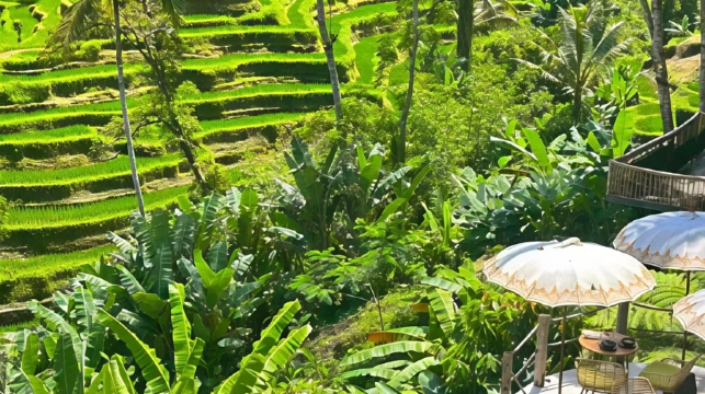 峇里島京打馬尼火山一日遊【觀巴杜爾火山+小象溫泉+可選套餐】