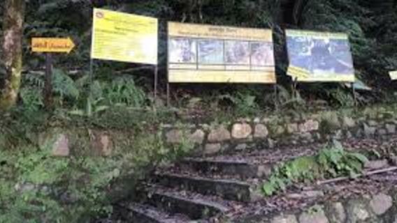 Kathmandu: Hiking Around Kathmandu Valley - Fixed Departure Everyday with Guide