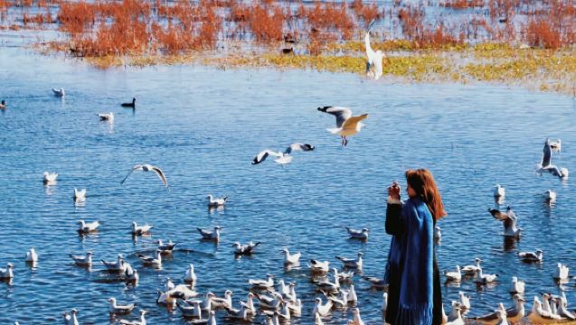麗江包車1日遊+濕地田園主題