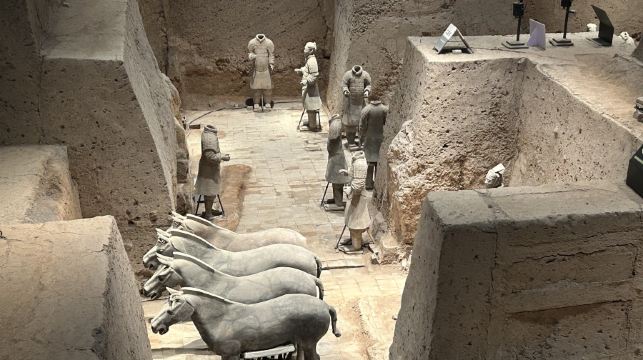 西安秦始皇帝陵博物院（兵馬俑）+趣味人工講解+無線耳麥【12人精品小團丨可選場次丨資深老師講解丨深度精講】
