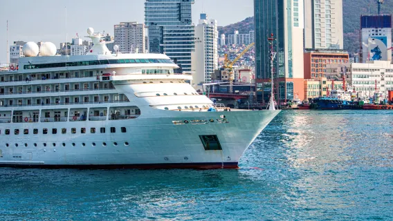 Busan Shore Excursion: City Highlights & Authentic Street Food Tour (Cruise Port Pickup)