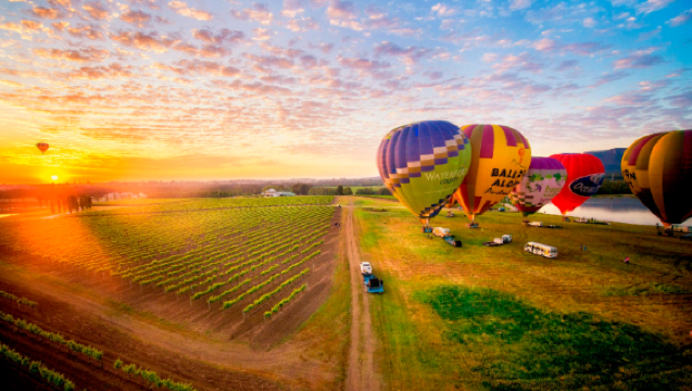 Sunrise Hot Air Balloon Ride in Australia's Hunter Region [Take off at sunrise and enjoy breathtaking views of the picturesque wine region]