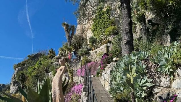 Perancis Selatan | Lawatan Sehari Sewaan Peribadi Bahasa Cina dari Nice di Pantai Biru [Itinerari Fleksibel]