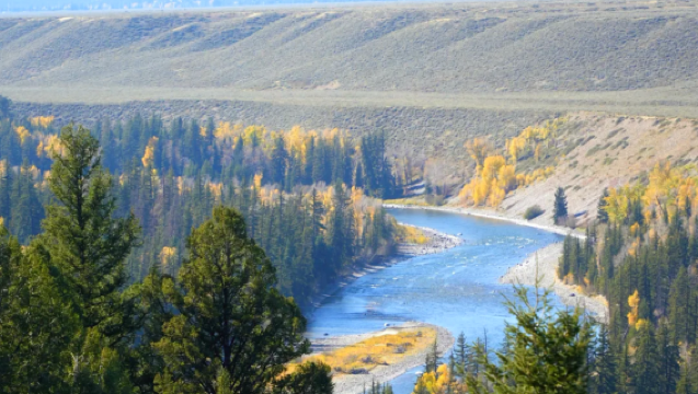 美國+西黃石+黃石國家公園+牽牛花池一日遊/行程可調-可定制