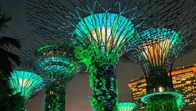 新加坡包車｜旅行訂製｜可選點對點接駁｜中文司機｜持證導遊翻譯