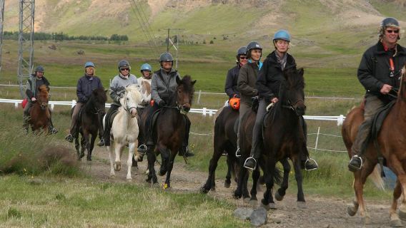 Iceland Golden Circle 1-day tour & horse riding experience