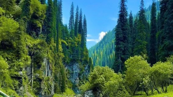 Lawatan Sehari di Qiaxi | Eksplorasi Mendalam Lembah Sungai dan Padang Rumput Semula Jadi Qiaxi