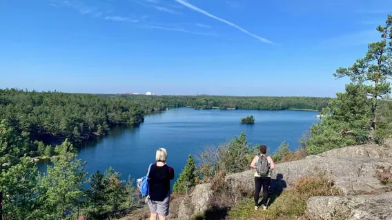 Stockholm: Wanderung im Naturschutzgebiet mit Lagerfeuer-Mittagessen