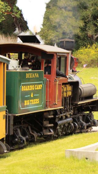San Francisco redwood forest steam train + Santa Cruz wharf 1-day tour | Niche experience