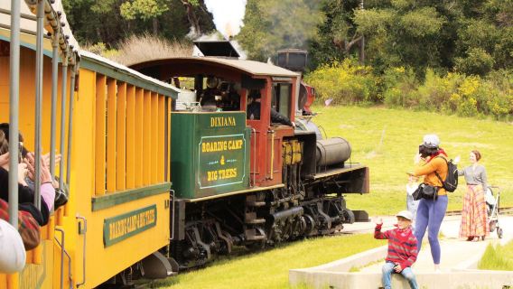 San Francisco redwood forest steam train + Santa Cruz wharf 1-day tour | Niche experience