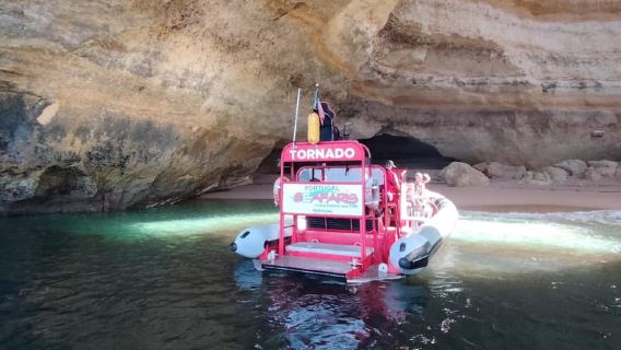 Lagos: Cuevas de Benagil y Tour de Delfines con Biólogo marino