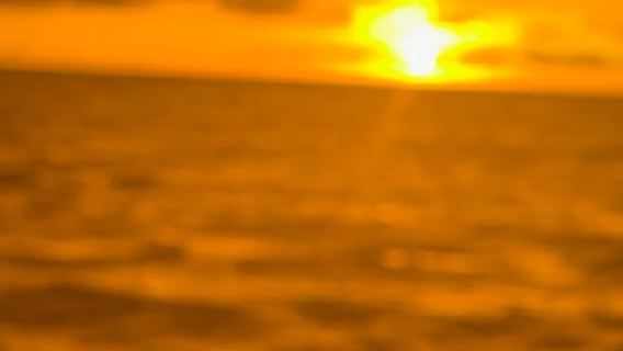 2 Bays tour ; morning & evening, Sunset tour with cava