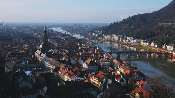 From Frankfurt: Day Tour to Heidelberg with Local Guide