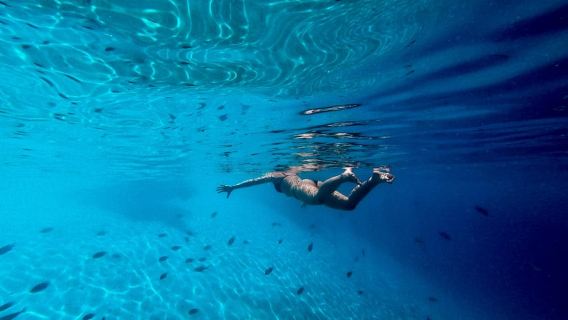 Snorkeling with Turtles and a Sandbank Stop