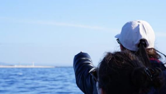 Фару: наблюдение за дельфинами и морской дикой природой