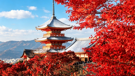 [Klassisk dagsudflugt i Kyoto] Kiyomizu-dera + Arashiyama + Fushimi Inari-taisha · kinesisk og engelsk service