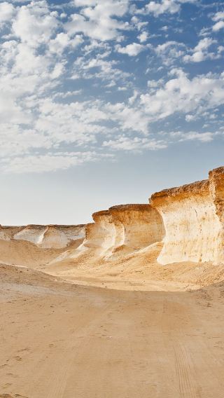 Western Qatar tour [Desert wind-eroded mushrooms and east-west sculpture - Western beach]