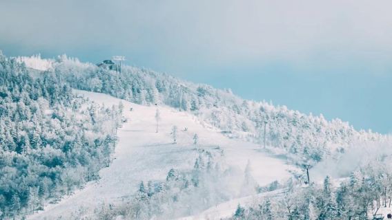 阿勒泰吉克普林國際滑雪度假區一日遊【精品包車遊】